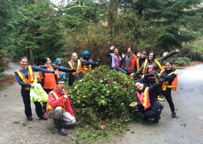Volunteers with the Stanley Park Ecological Society remove invasive Ivy.