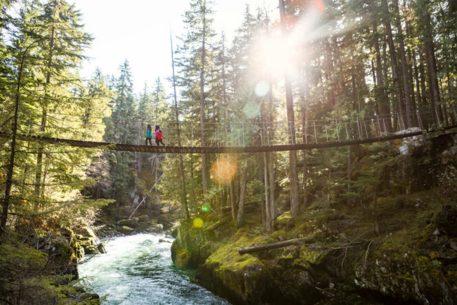 Hikers cross the suspension bridge over the Cheakamus River on the way to the Whistler Train Wreck. Photo: Tourism Whistler/Justa Jeskova