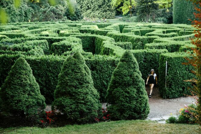 VanDusen Garden Hedge maze in Vancouver