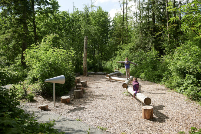 Nature play area at Aldergrove Regional Park