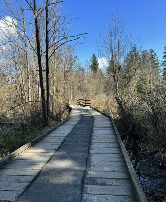 Boardwalk on the Pepin Brook Loop Trail in Aldergrove Regional Park