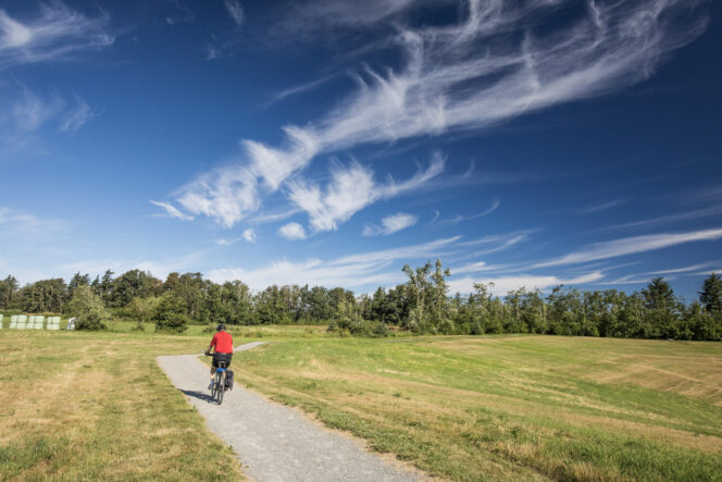 Cyclist at Aldergrove Regional Park