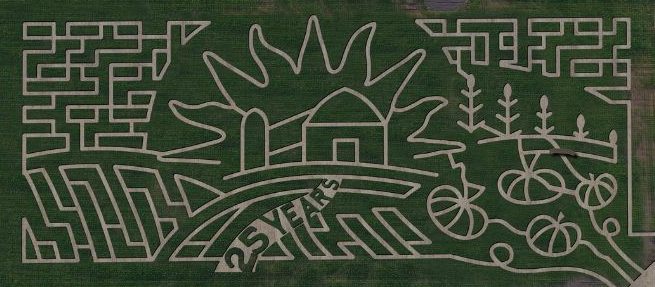 Aerial view of the 2023 Chilliwack corn maze