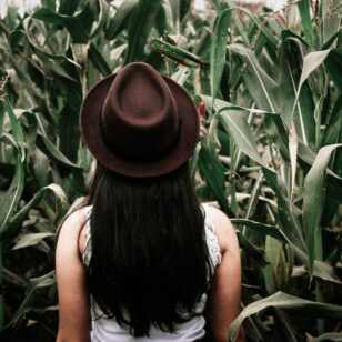 A woman stands in a corn maze