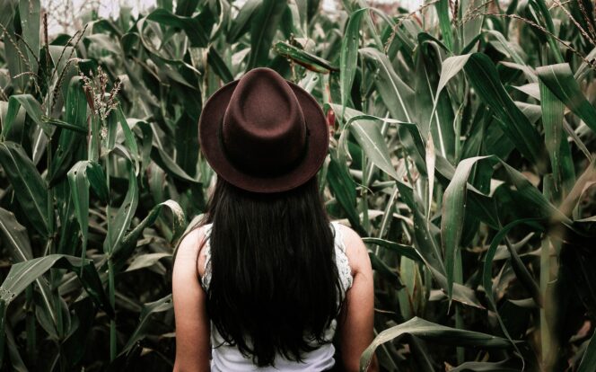 A woman stands in a corn maze