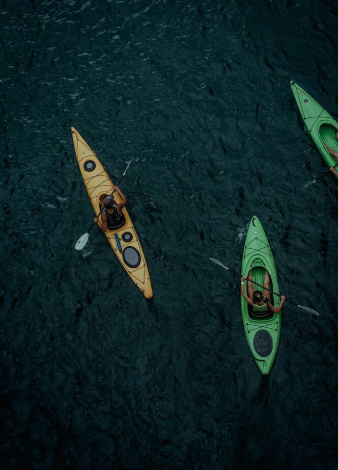 A group of kayaks seen from above