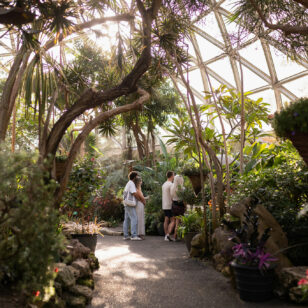 Inside the Bloedel Conservatory in Vancouver