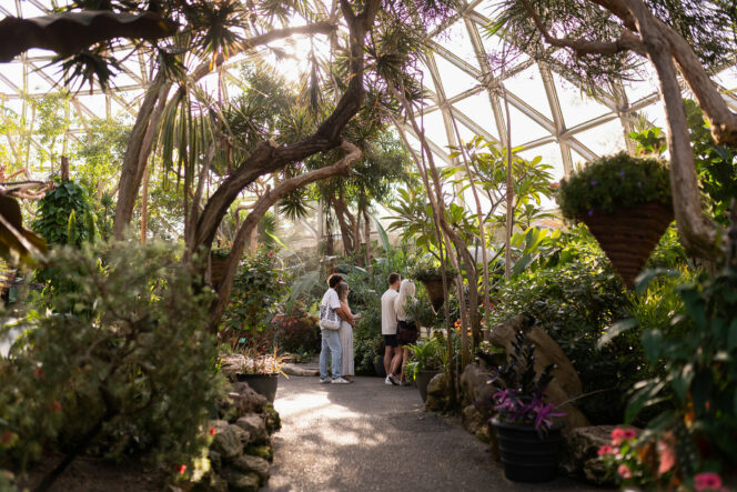 Inside the Bloedel Conservatory in Vancouver