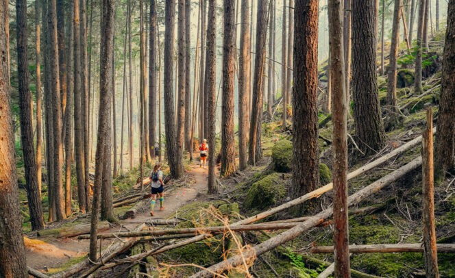 Runners at the Squamish 50 trail running race