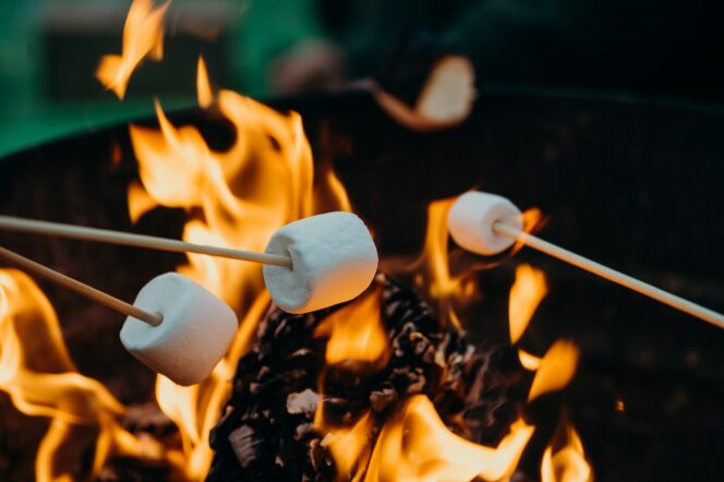 A close up of marshmallows on sticks held over a campfire