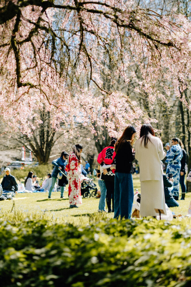 People at the Sakura Days event at the Vancouver Cherry Blossom Festival