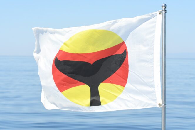 Whale Warning Flag in the Salish Sea near Vancouver