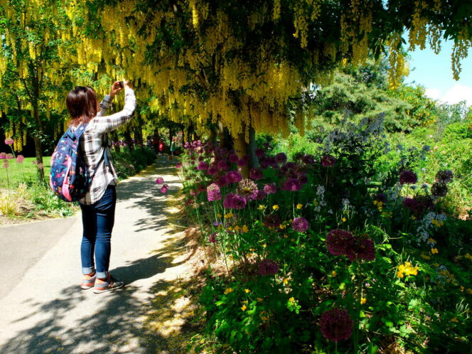 A woman stops to take a photo at VanDusen Botanical Garden